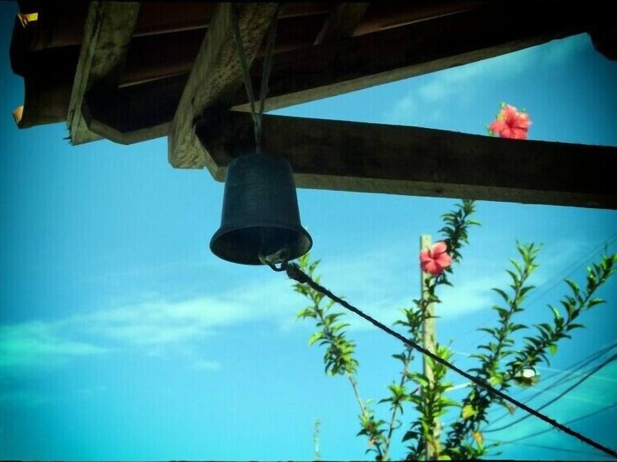 A bell hanging from a wooden structure with a clear blue sky and a plant with pink flowers in the background.