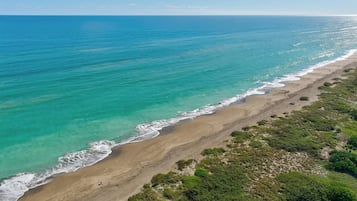 Chaises longues, serviettes de plage