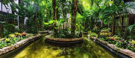 Enceinte de l’hébergement