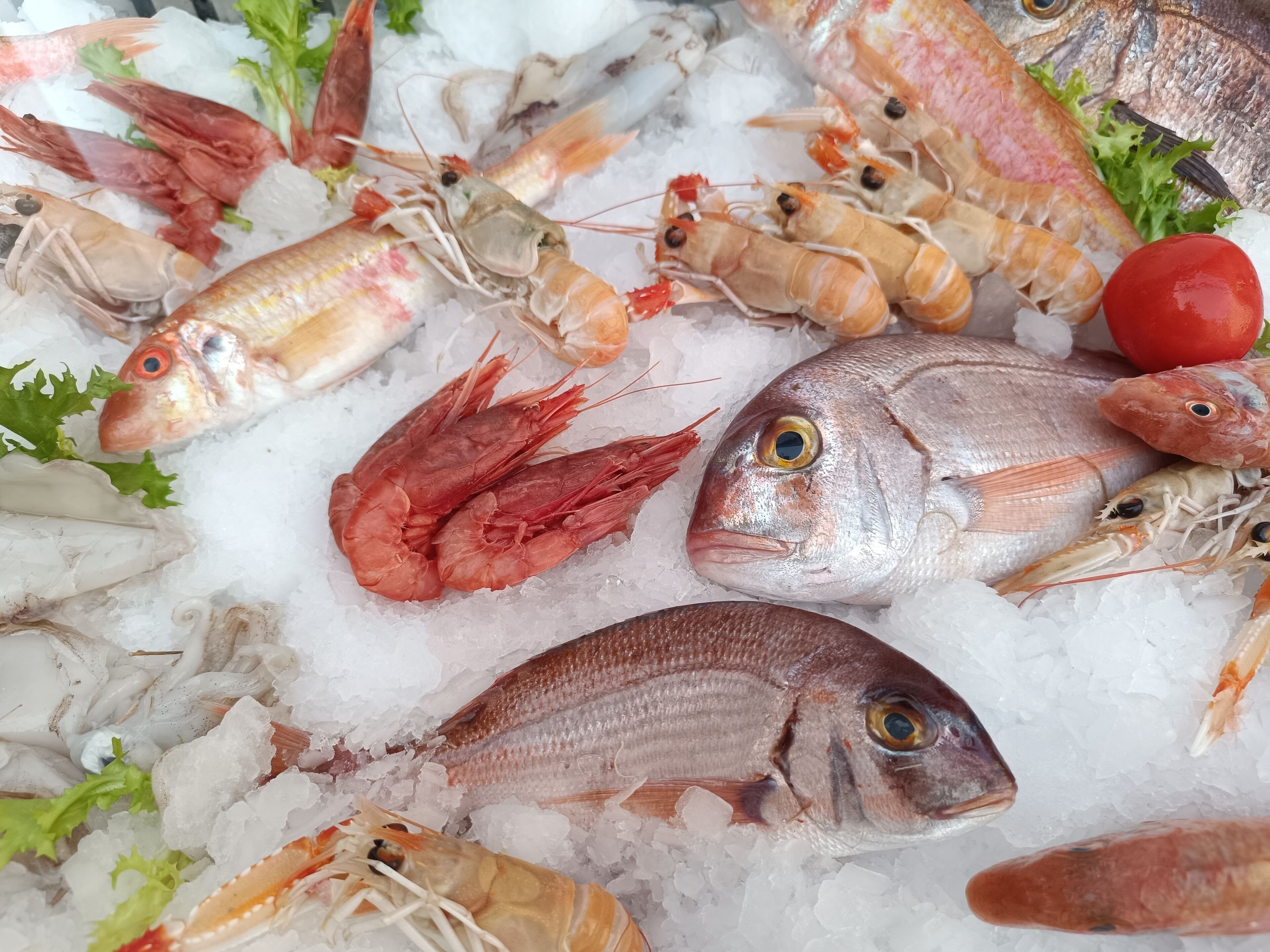 Una variedad de mariscos, incluyendo camarones, pescado y vieiras, sobre hielo.