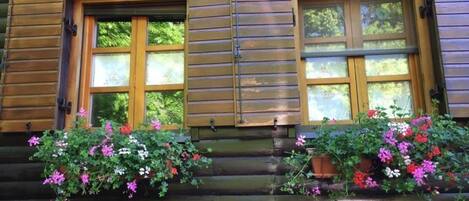 Detall de l'exterior