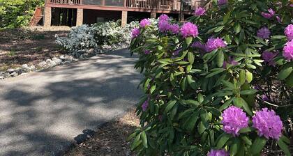 Beautiful Mountain View with Large Saltwater Pool