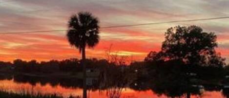 A sunset over a body of water with trees and a road in the foreground.