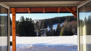 A view through a glass door with a wooden frame, leading to a snowy landscape with trees and a hill in the background. - Enjoy the Thuringian Forest in the barrier-free vacation home "Bergwiese" (Neuhaus am Rennweg)