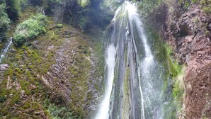 Een waterval die over een rotswand stroomt, omringd door weelderige vegetatie.