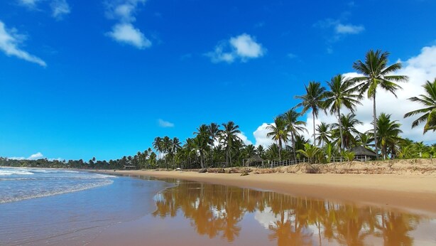 A beach with clear blue sky, calm water, and palm trees. - Pousada Cantinho de taipu (Maraú)