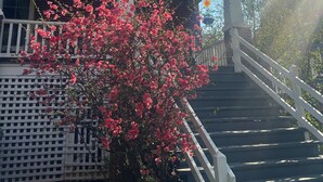 A two-story house with a covered porch and a staircase leading to the upper level. - Stadium Hill House (Charlottesville)