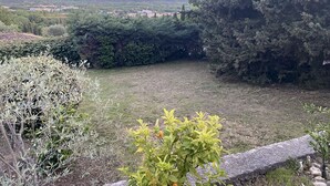 Un jardín con diversas plantas y un muro de piedra.