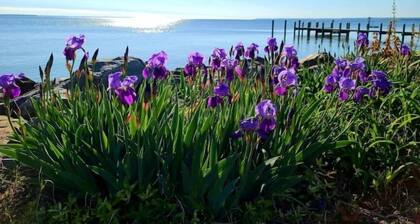 Sunnyside Up - Small Dog Friendly Waterfront Cottage