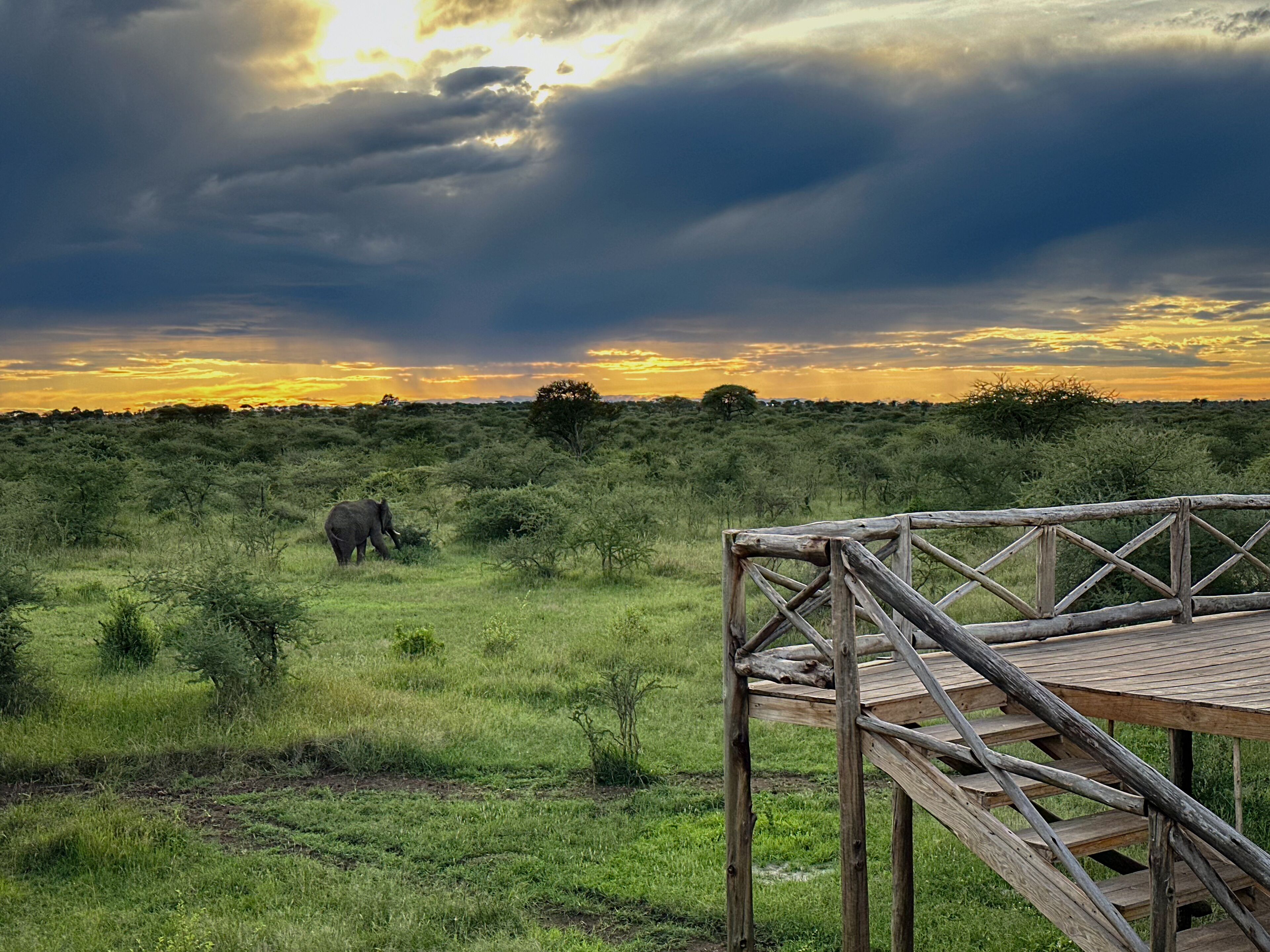 A wooden deck overlooking a savanna landscape with a giraffe in the distance and a sunset in the background.