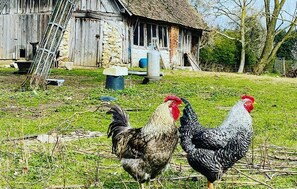 المنطقة المحيطة بالمنشأة