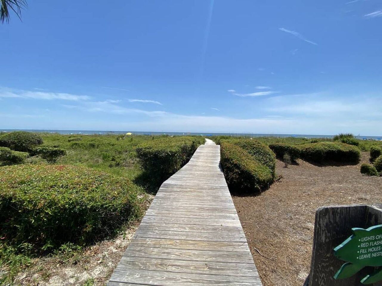 Une promenade en bois traverse un espace paysager agrémenté de haies, sous un ciel dégagé.