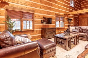 TV connectée, cheminée, livres