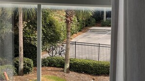 Une vue à travers une fenêtre sur un parking avec une route asphaltée, un vélo et un palmier.