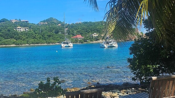 Uma praia com um banco de madeira e uma palmeira, com vista para um mar calmo, com barcos e casas ao fundo.