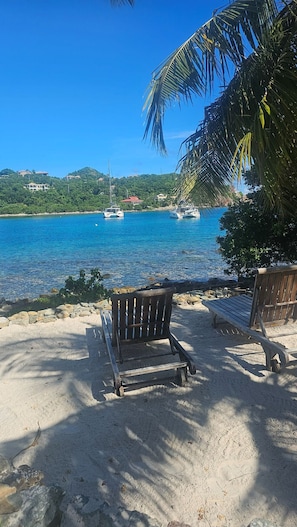 A beach with a wooden bench and a palm tree, overlooking a calm sea with boats and houses in the background.