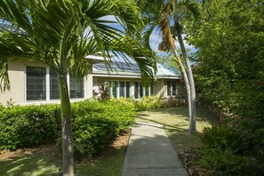 A house with a pathway leading to the entrance, surrounded by lush greenery and palm trees.