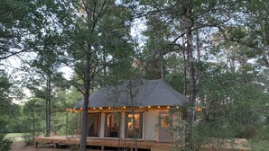 A cabin with a covered porch, surrounded by trees.