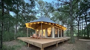 A wooden deck with a covered seating area and a large umbrella.