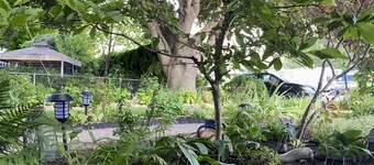 Magical Themed Decor! Pets Welcome! 3 Bedrooms