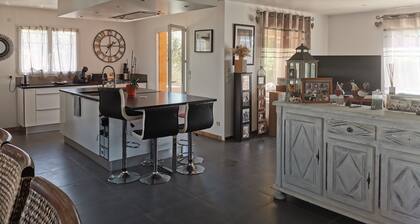 house with swimminig pool