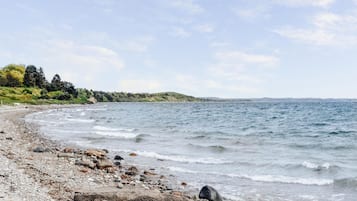 Tæt på stranden, fiskeri