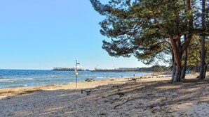 Ein Strand mit sandigem Ufer, einer Holzbank und einem Baum.