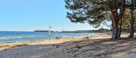 Beach nearby, fishing