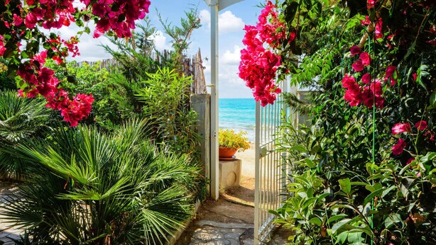 Ein Gartenweg führt zu einem Strand, umgeben von üppiger Vegetation und bunten Blumen.