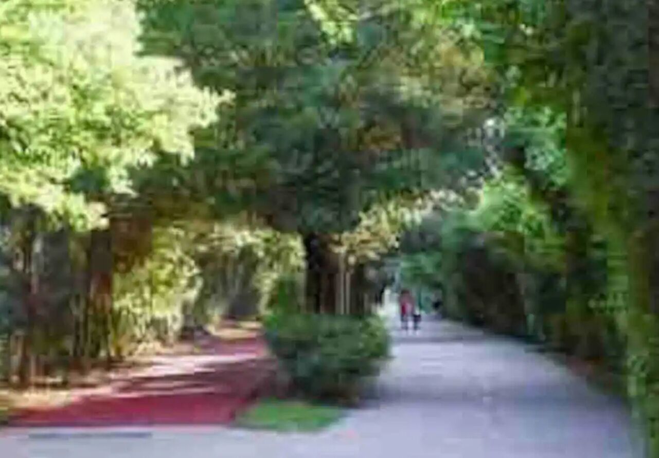 King Bed - West Village near Katy Trail