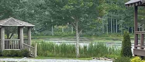 A gazebo, a pond, and a wooden structure in a landscaped garden.