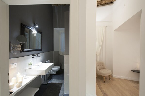 Shower, hair dryer, bidet, towels