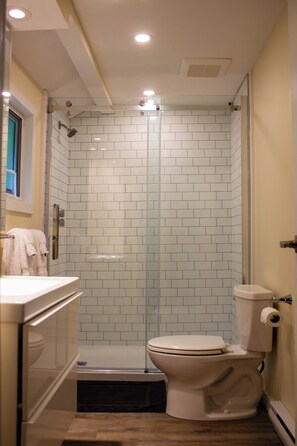 Hair dryer, towels, soap, shampoo