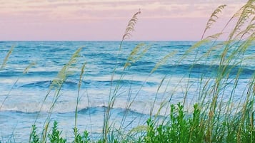 Playa en los alrededores