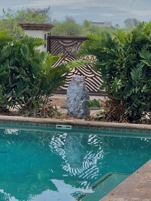 Piscina externa