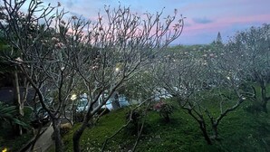 Un jardín con árboles y un sendero.
