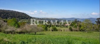 Apto La Espina 2 - rural apartment in Celada (Villaviciosa)