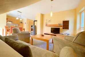 テレビ、暖炉、卓球台、ステレオ