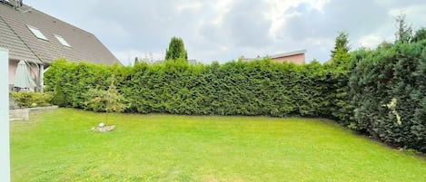 Terrain de l’hébergement