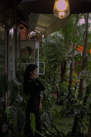Vista al patio