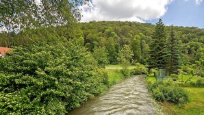 Ein Fluss fließt durch eine üppige, grüne Landschaft mit dichter Vegetation an einem Ufer und einem klaren Himmel.