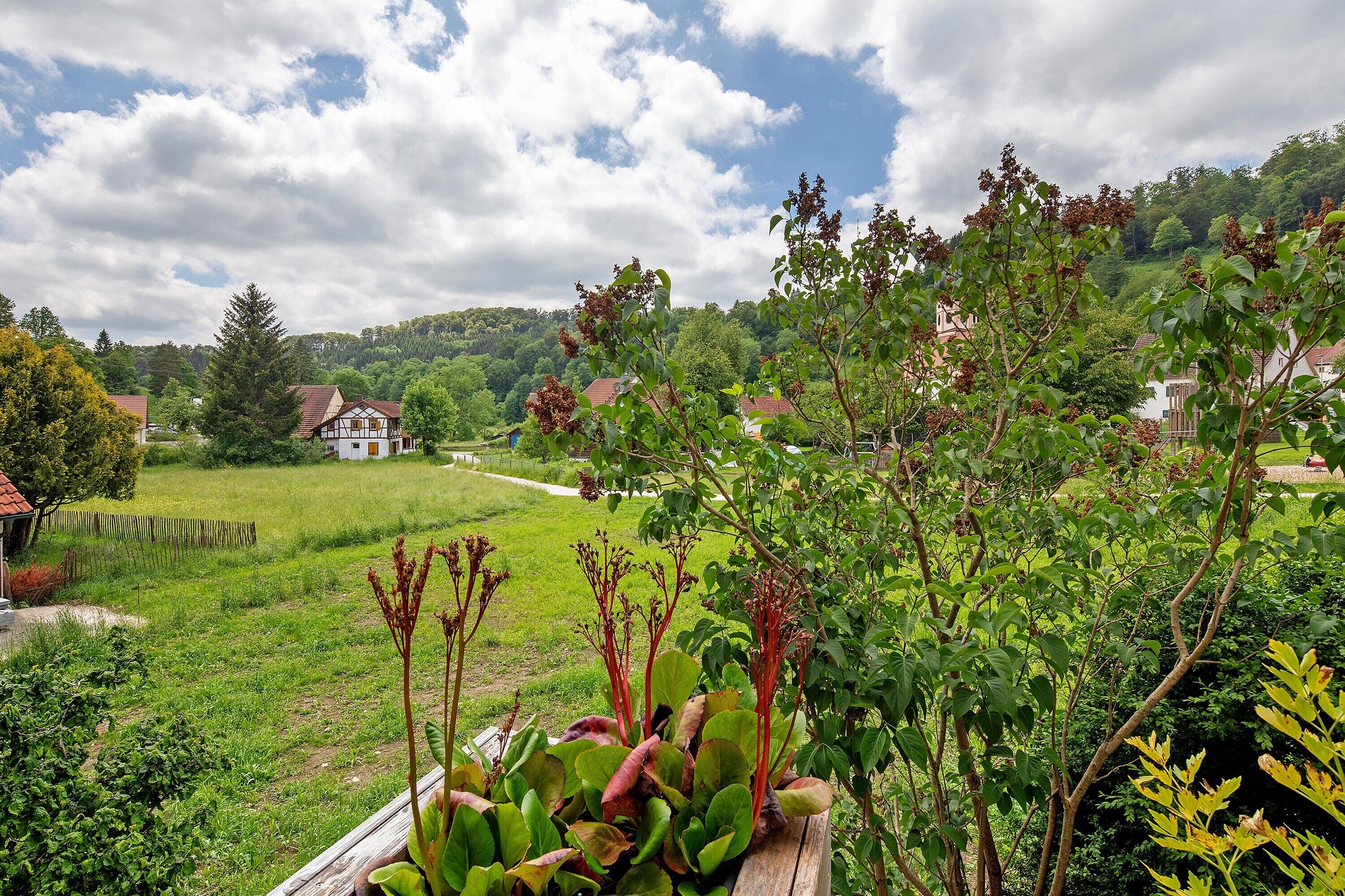 A rural landscape with houses, a wooden fence, and lush greenery.