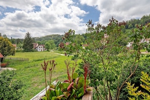 A rural landscape with houses, a wooden fence, and lush greenery.