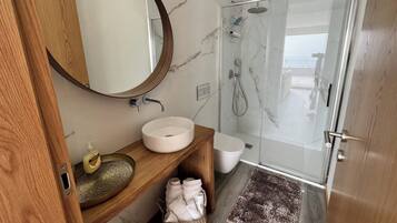 Shower, hair dryer, towels