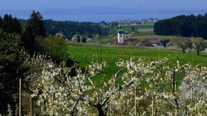 A rural landscape with a tower, green fields, and blooming trees. - Studio 'Sandra Scheck' with Mountain View, Private Terrace & Wi-Fi (Lindau am Bodensee)