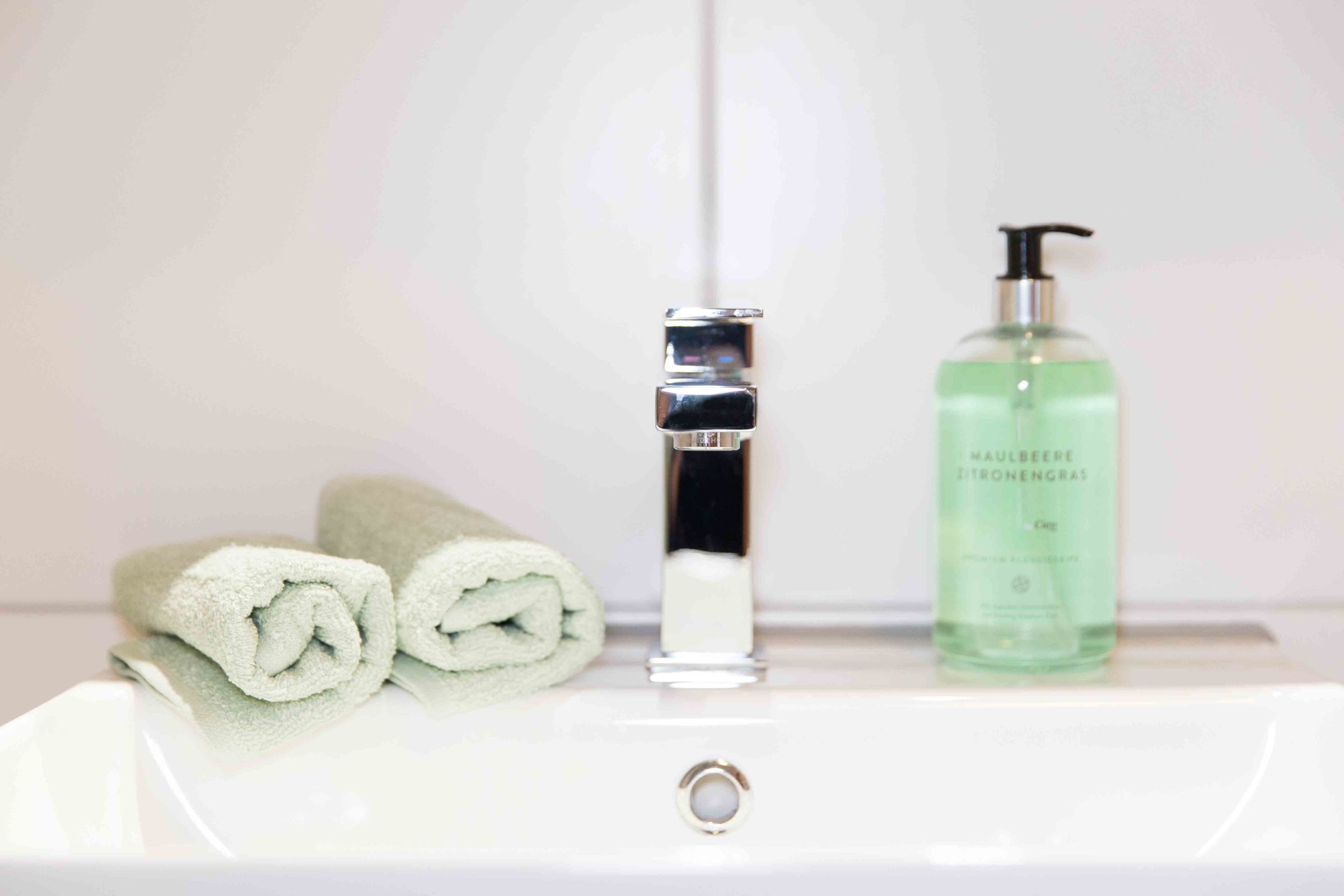 Dusche, Haartrockner, Handtücher