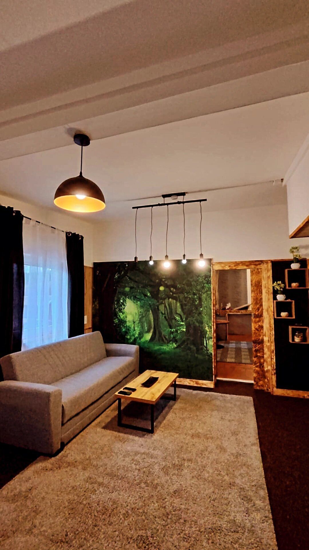 Televisión y chimenea 