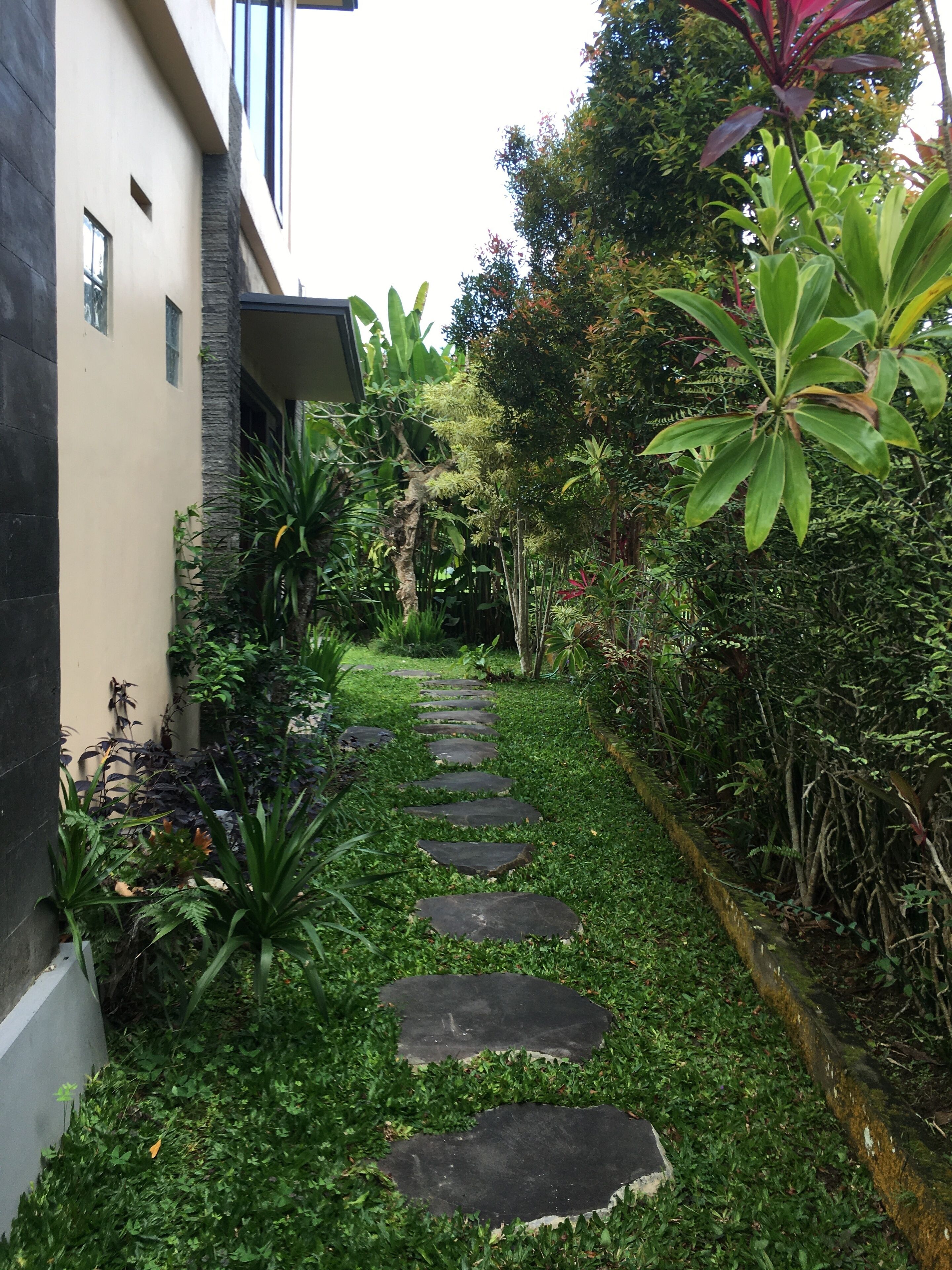 A pathway leading to a building with a modern design, surrounded by lush greenery and various plants.