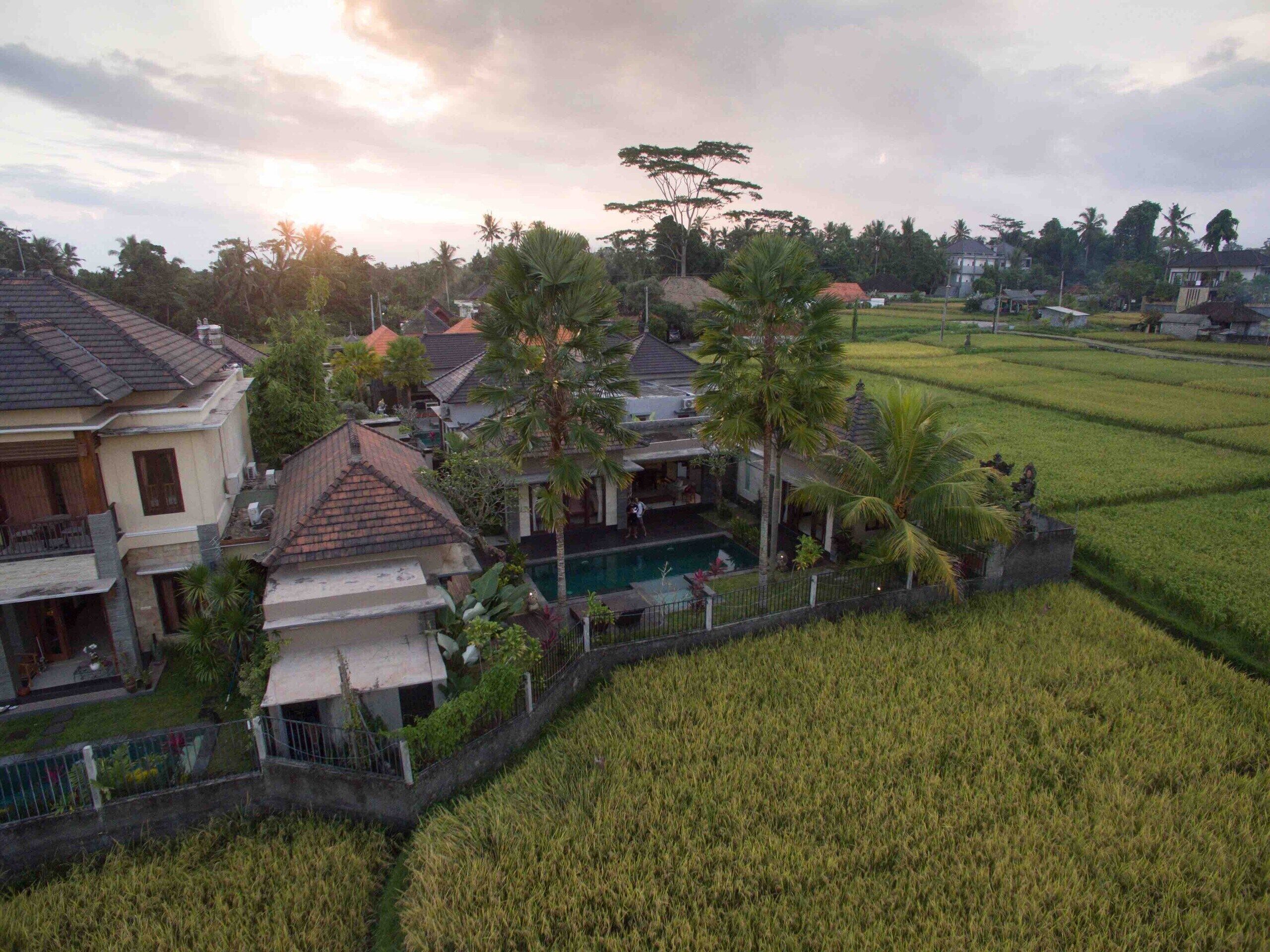 A residential area with houses, a swimming pool, and surrounding rice fields.