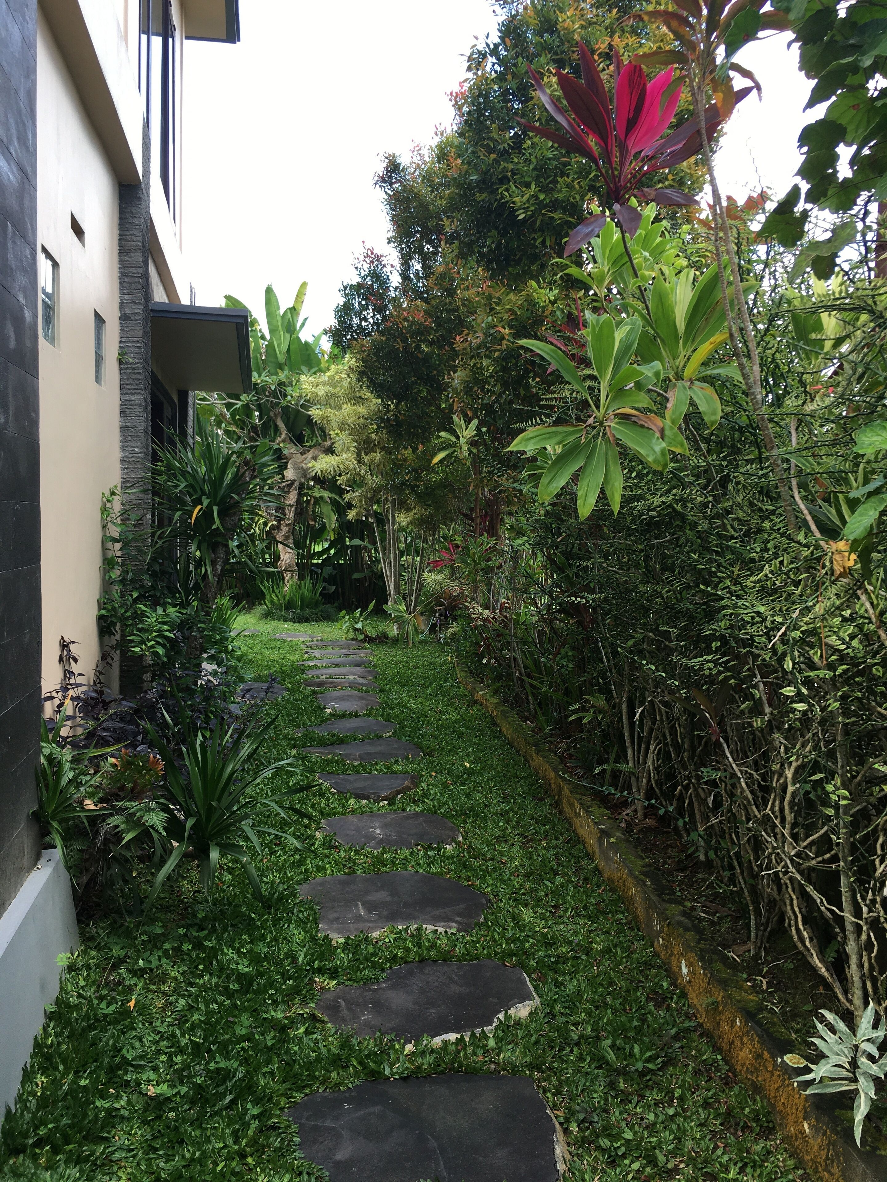 Un sendero en un jardín con piedras que guían hacia un edificio.